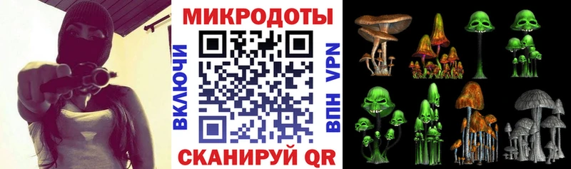 Псилоцибиновые грибы MAGIC MUSHROOMS  Новоржев 
